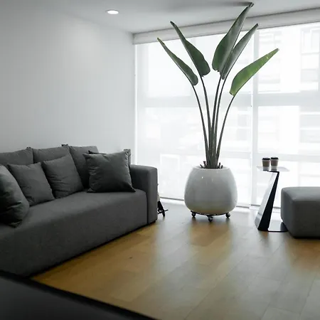 Departamento Grande Condesa Apartment